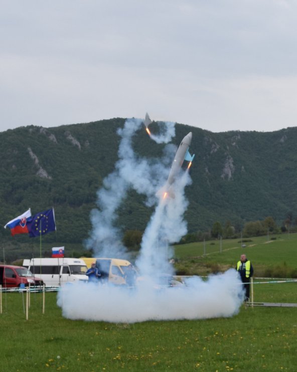  Delfin utrzeni ploutve s motorem 